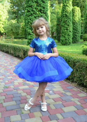 Short Sleeves Royal Blue Sequin Tulle Heart Back Flower Girl Dress